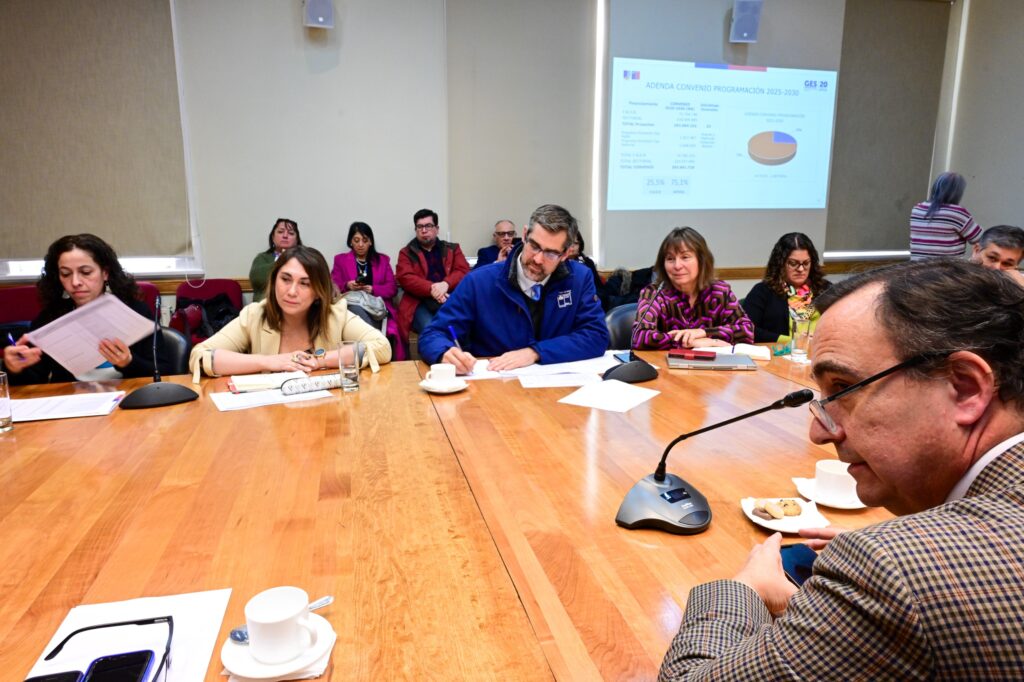 Subsecretario Bernardo Martorell Diálisis Porvenir Convenio GORE Minsal